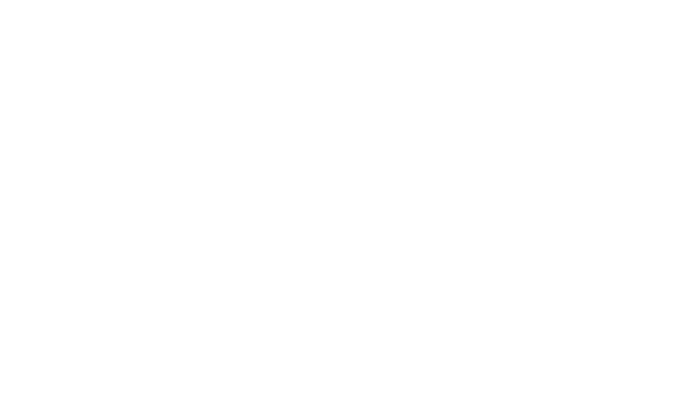 Stereo 100